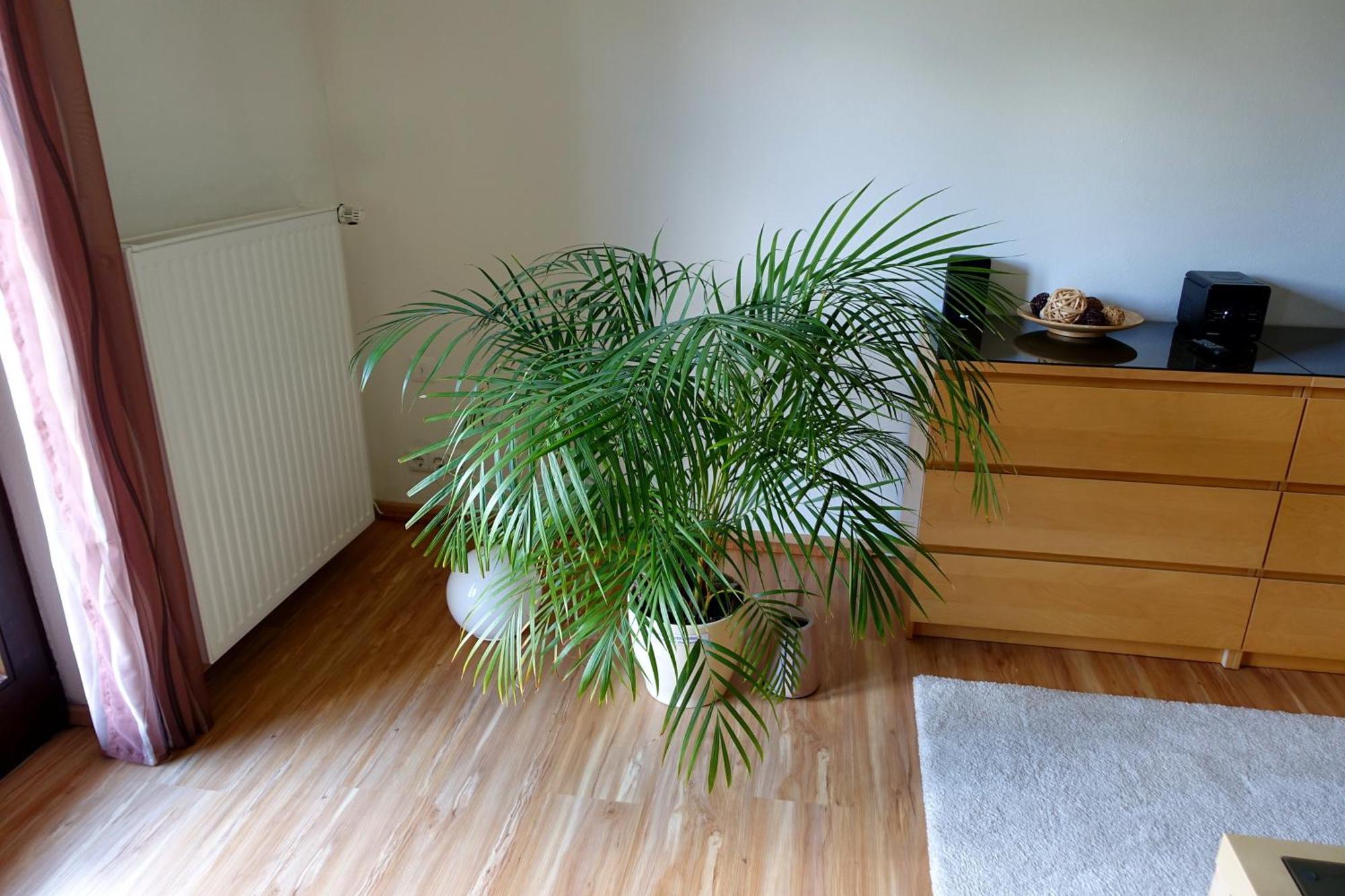 Ferienwohnung Ariane ガルミッシュ・パルテンキルヒェン エクステリア 写真